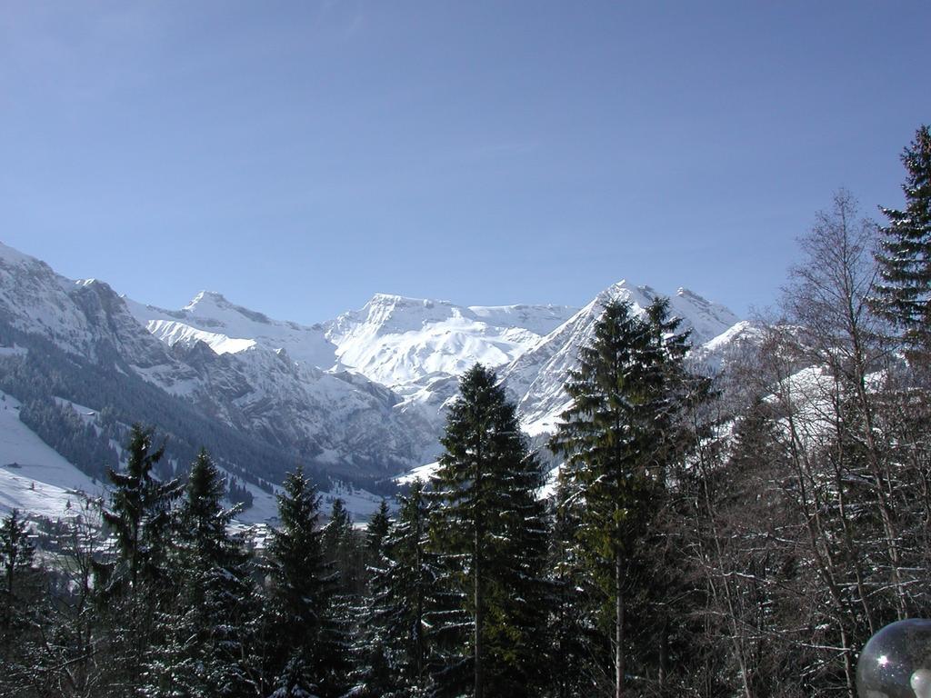 Hotel Crystal Adelboden Eksteriør bilde