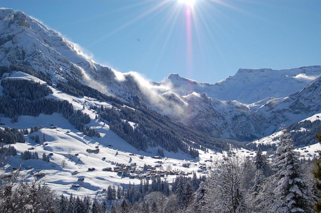 Hotel Crystal Adelboden Rom bilde